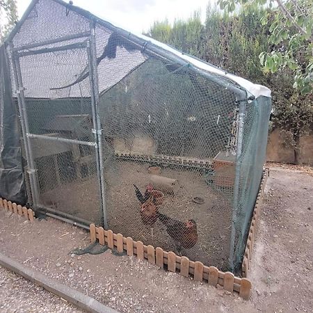 Casita De Invitados En Otura Exteriér fotografie